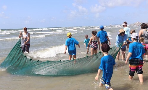 Galveston 2019-TCAAA-Beach-Exploration-for-Youth-5